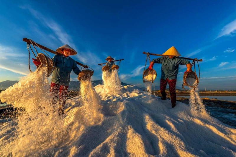 Early Morning Salt Harvest at Hon Khoi Salt Fields Salt workers harvesting salt under blue sky at Hon Khoi Salt Fields, Nha Trang