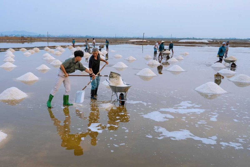 Night Salt Harvesting at Hon Khoi Salt Fields Workers harvesting salt with headlamps at night at Hon Khoi Salt Fields, Nha Trang