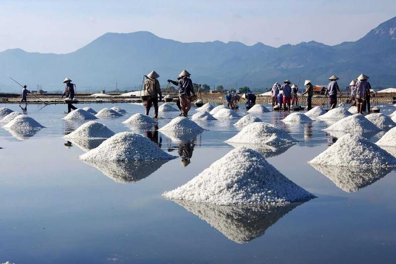 Salt Worker Collecting Salt at Hon Khoi Fields Salt worker scooping salt into baskets at Hon Khoi Salt Fields, Nha Trang