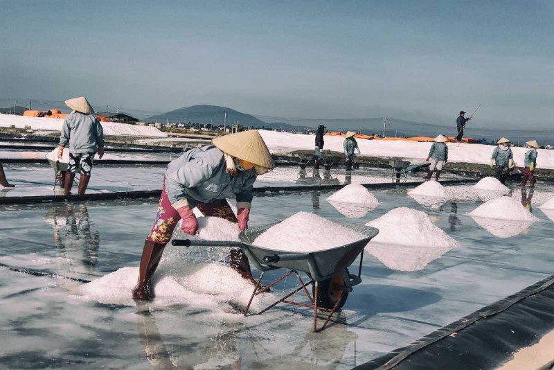 Salt Worker Gathering Salt into Baskets at Hon Khoi Fields Salt worker gathering harvested salt into baskets at Hon Khoi Salt Fields