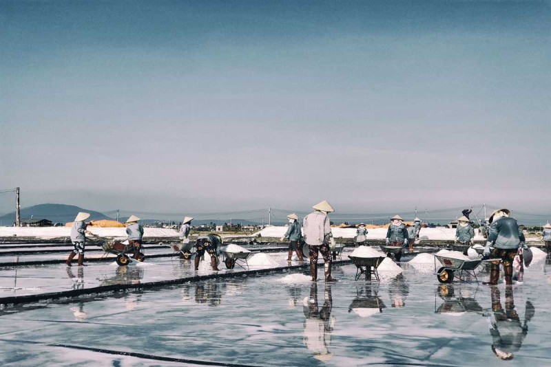 Hon Khoi Salt Workers Transporting Salt with Wheelbarrows Group of salt workers using wheelbarrows to move salt piles at Hon Khoi Salt Fields