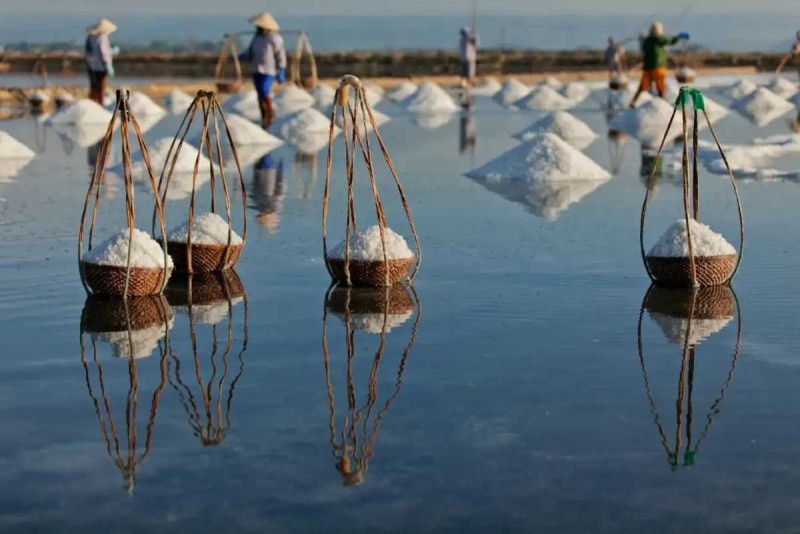 Traditional Salt Harvesting at Hon Khoi Salt Fields Salt workers casting salt from baskets at Hon Khoi Salt Fields, Nha Trang