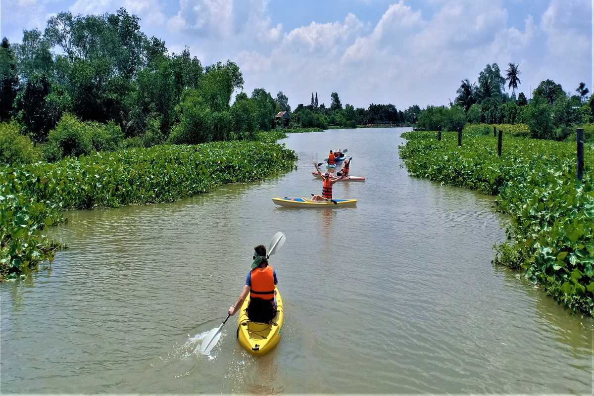 Group kayaking on the Cai River surrounded by lush water plants under a clear sky