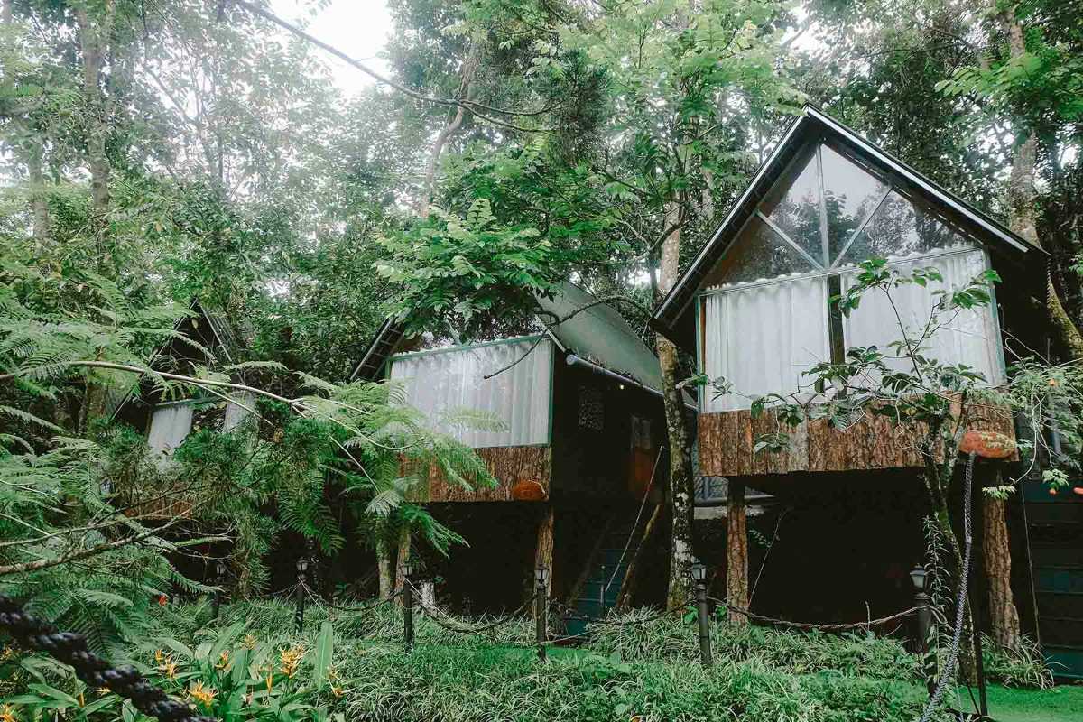 Elevated forest cabins nestled in lush greenery during the Nha Trang mountain biking tour.