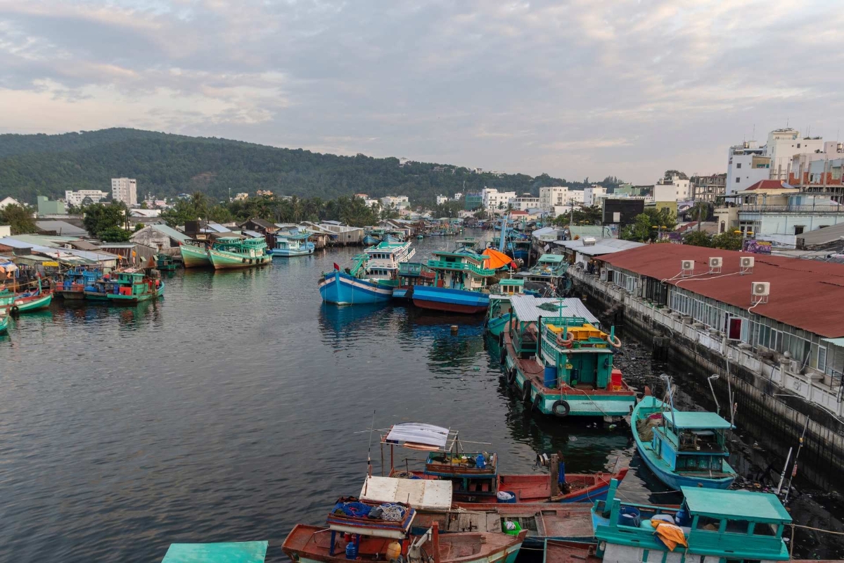 Colorful fishing boats docked along Duong Dong harbor, a key departure point for the sunset squid fishing tour Phu Quoc.